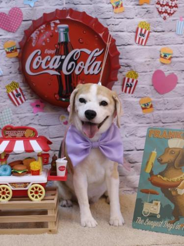 20230901チャビーちゃん